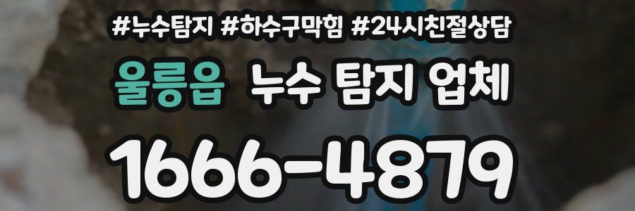 울릉읍 누수 탐지 업체