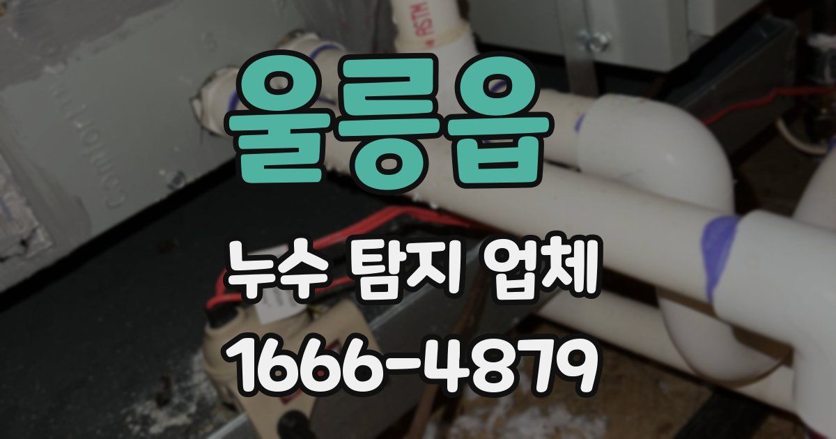 울릉읍 누수 탐지 업체