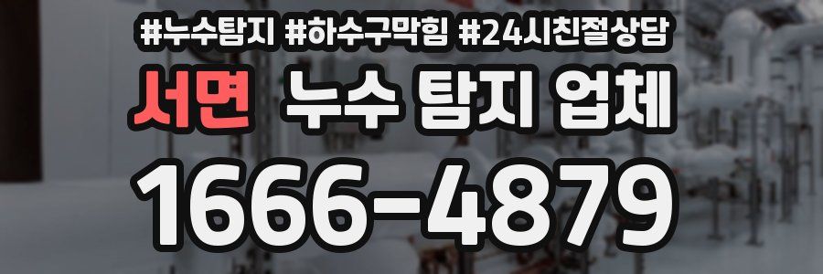 서면 누수 탐지 업체