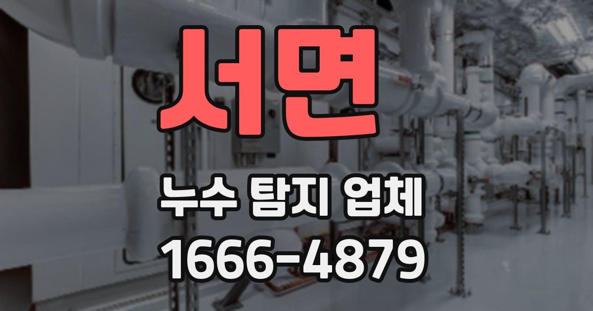 서면 누수 탐지 업체