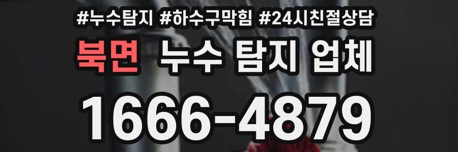 북면 누수 탐지 업체