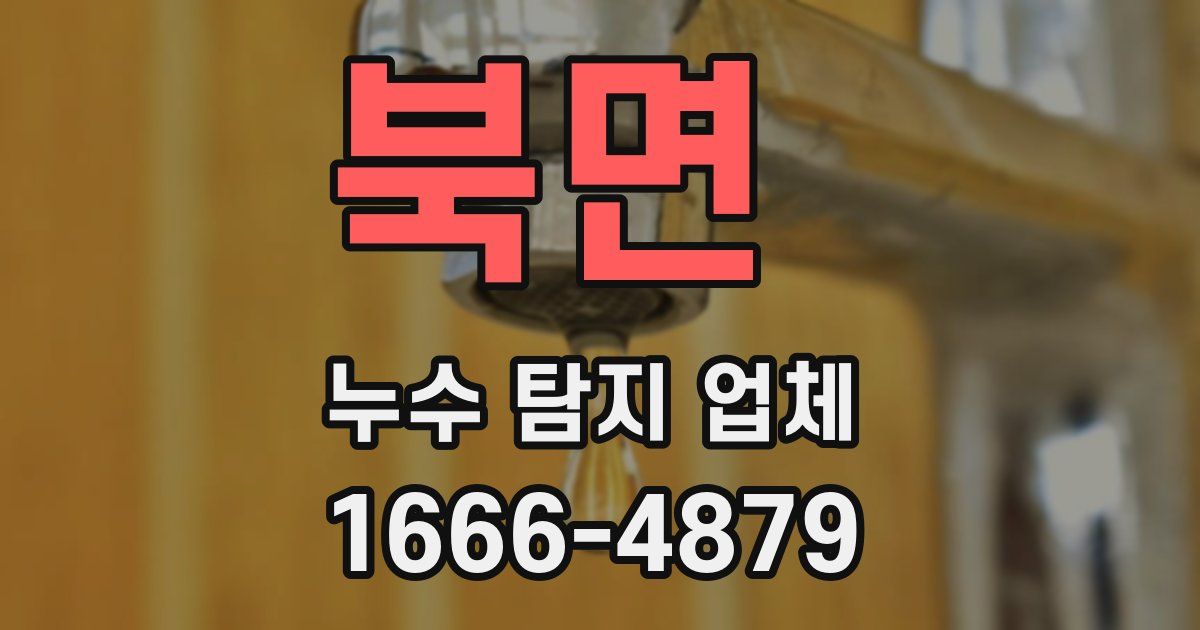 북면 누수 탐지 업체
