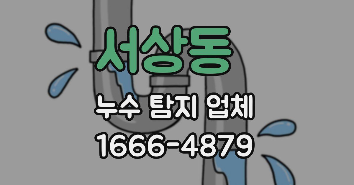 서상동 누수 탐지 업체