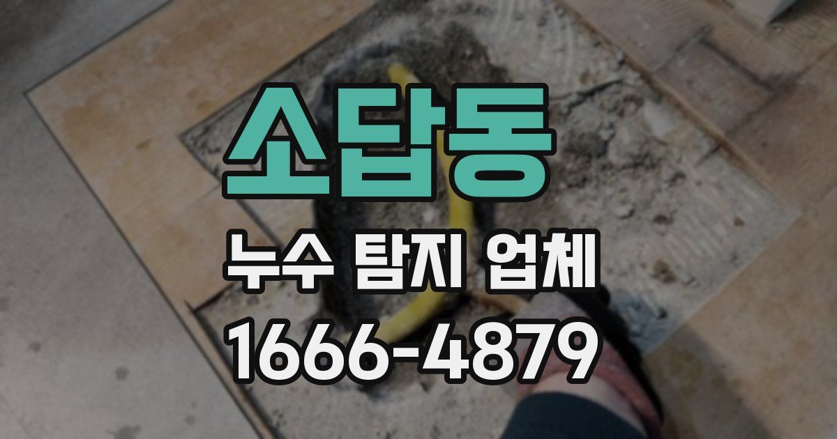 소답동 누수 탐지 업체