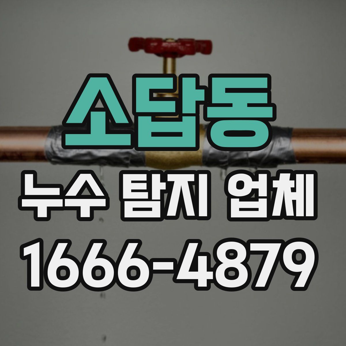 소답동 누수 탐지 업체