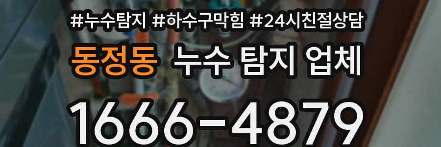동정동 누수 탐지 업체