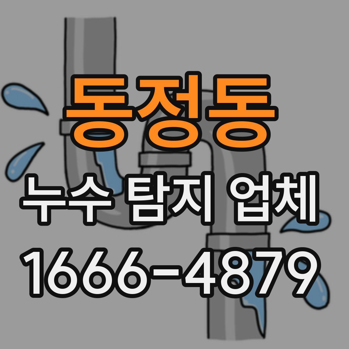 동정동 누수 탐지 업체