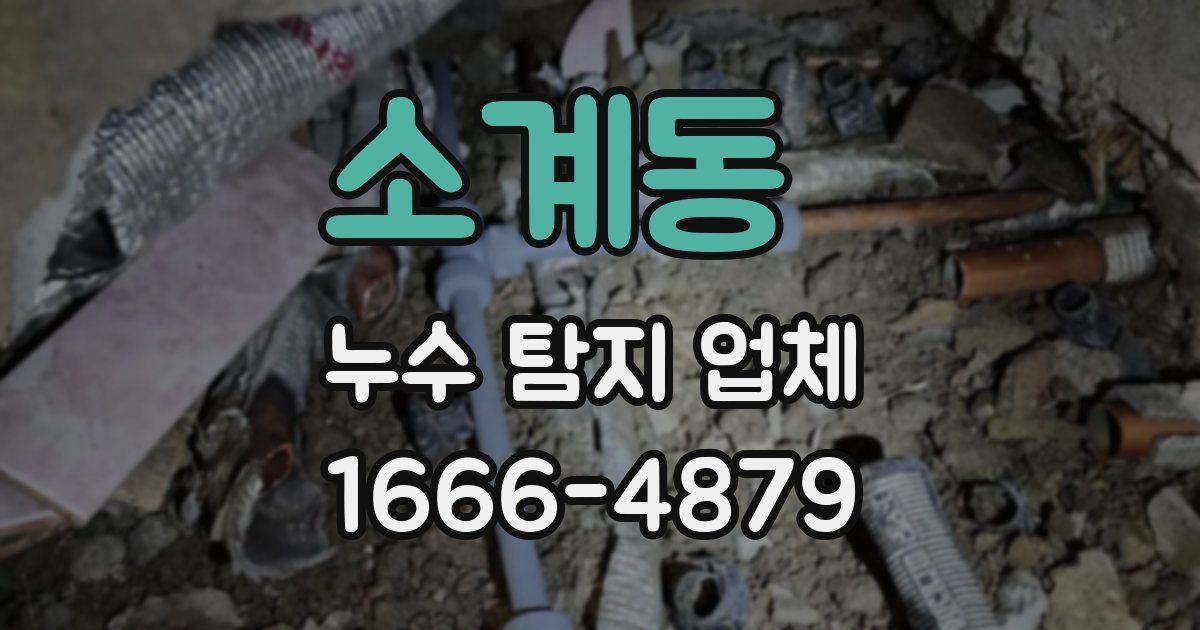 소계동 누수 탐지 업체