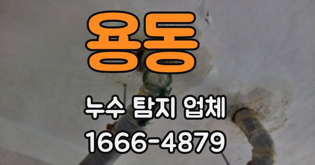 용동 누수 탐지 업체