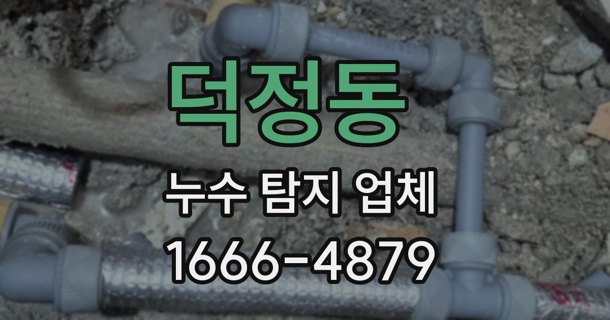 덕정동 누수 탐지 업체