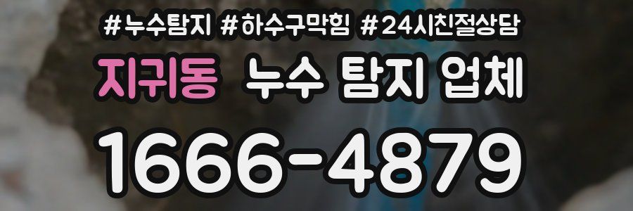 지귀동 누수 탐지 업체