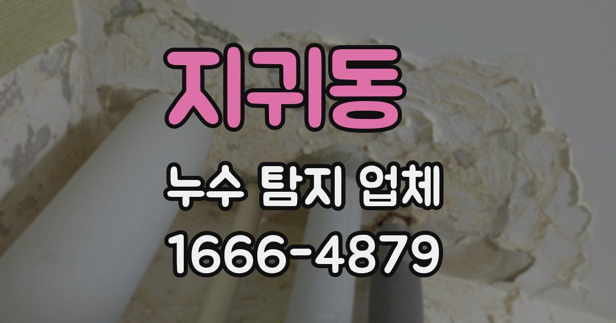 지귀동 누수 탐지 업체