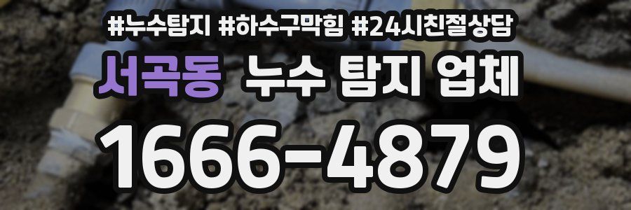 서곡동 누수 탐지 업체