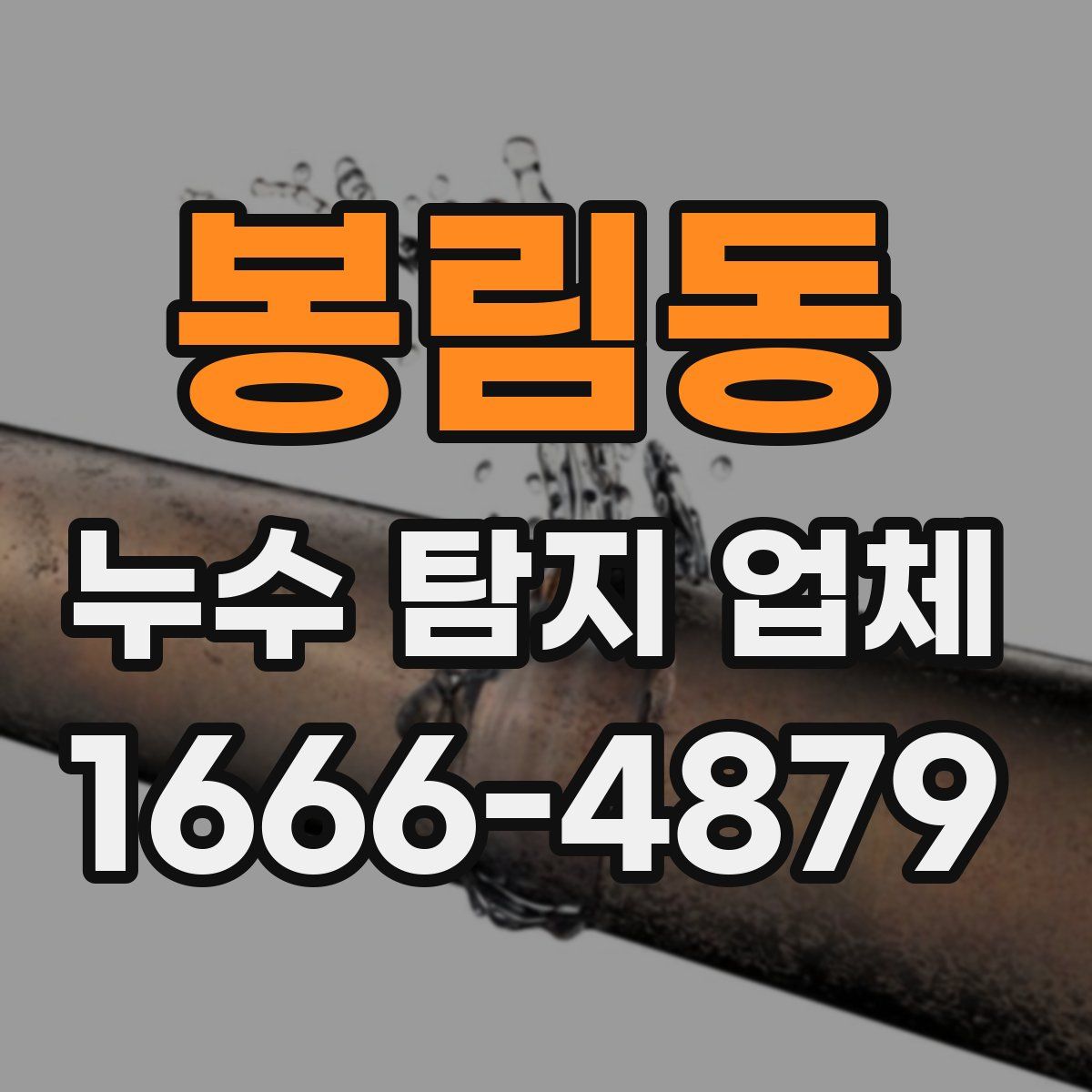 봉림동 누수 탐지 업체