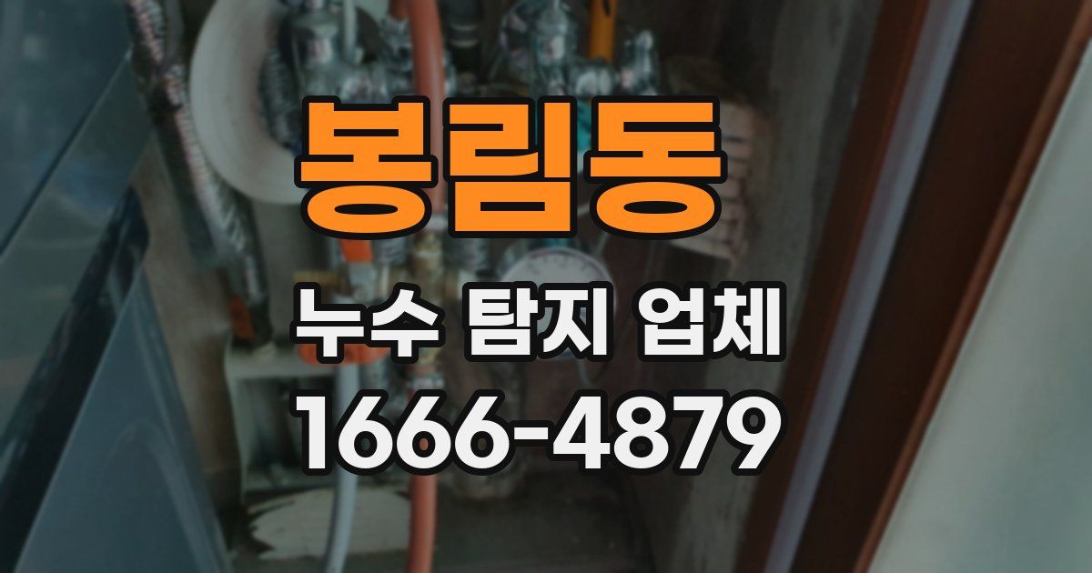 봉림동 누수 탐지 업체