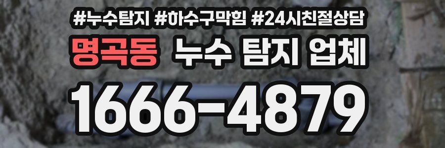 명곡동 누수 탐지 업체