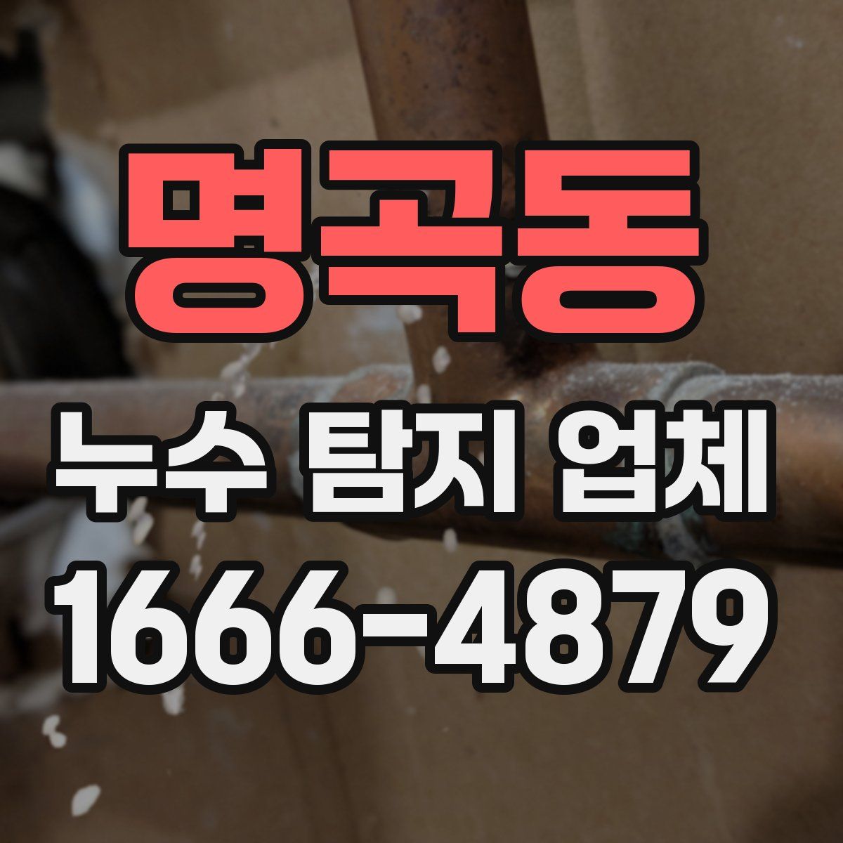명곡동 누수 탐지 업체