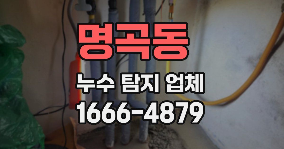 명곡동 누수 탐지 업체