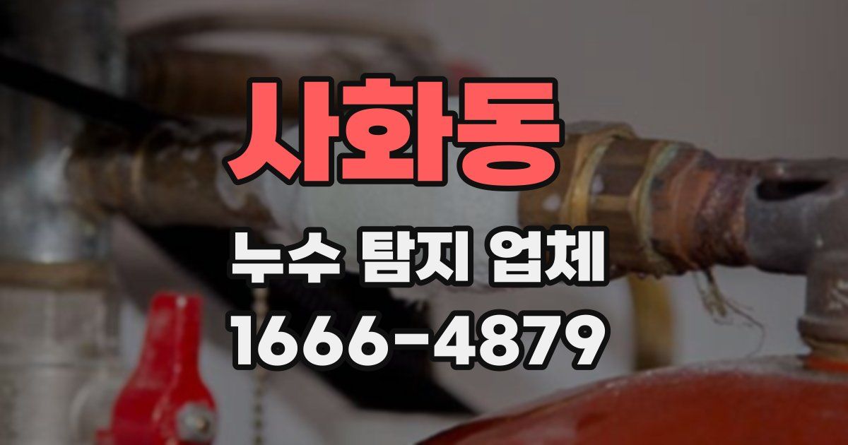 사화동 누수 탐지 업체