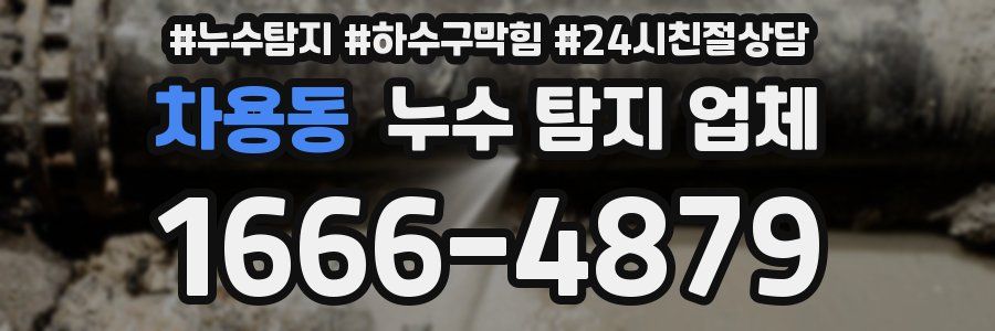 차용동 누수 탐지 업체