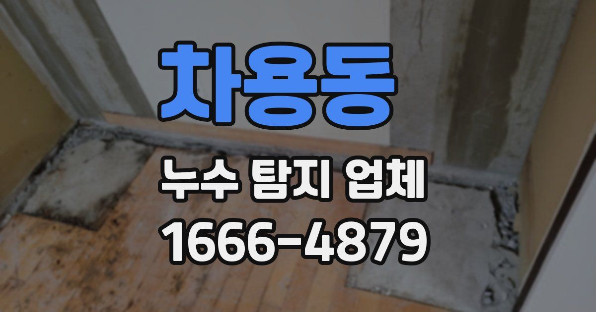 차용동 누수 탐지 업체