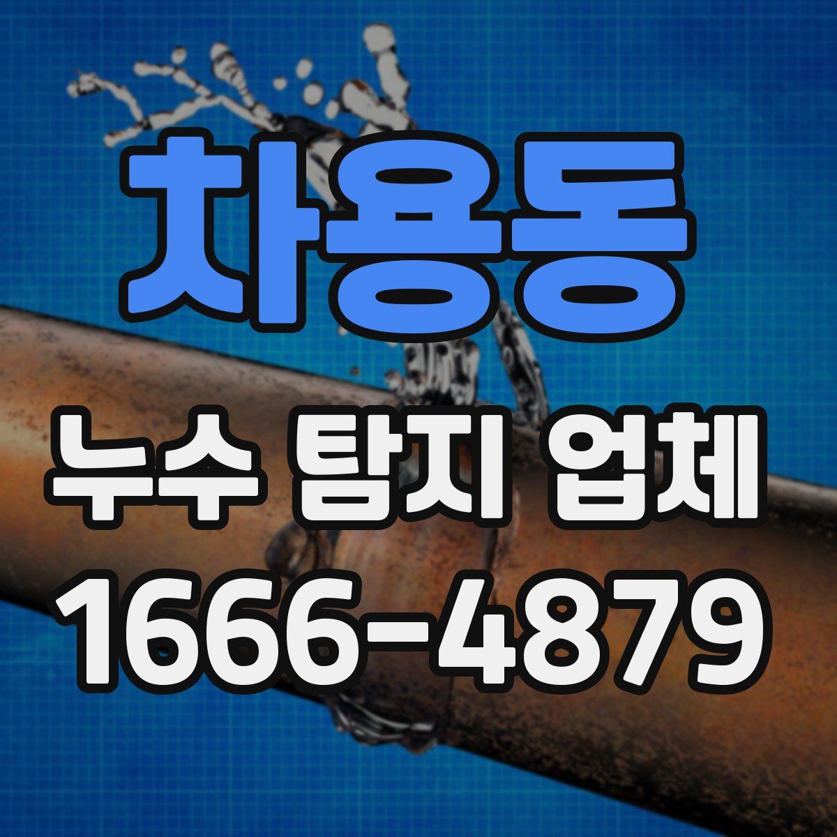 차용동 누수 탐지 업체