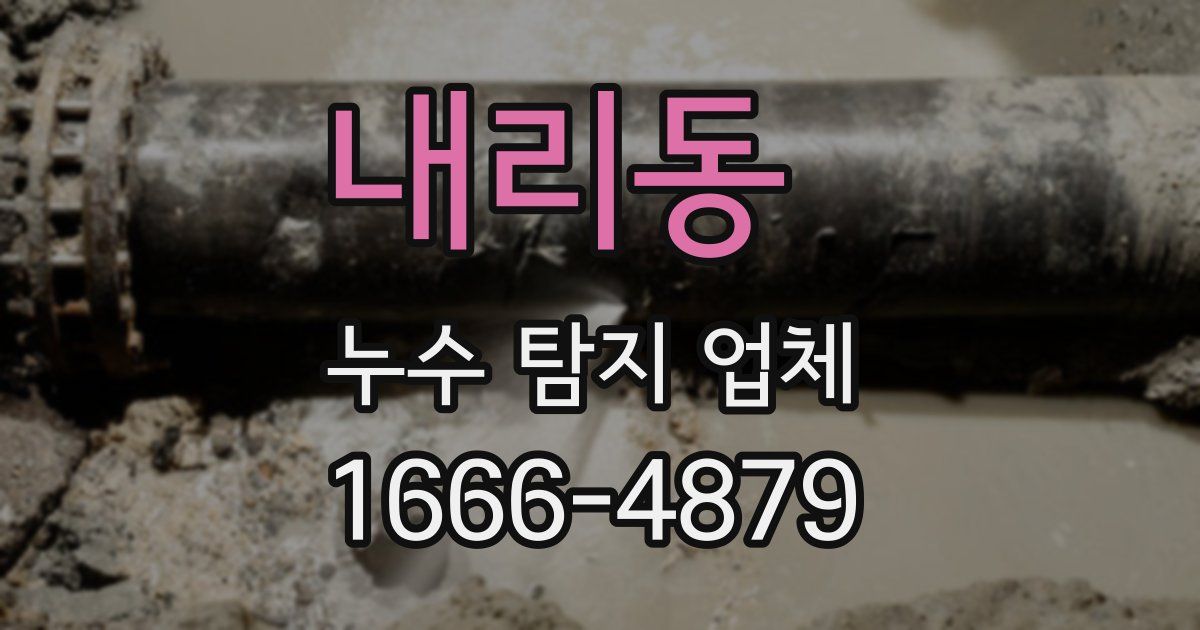 내리동 누수 탐지 업체