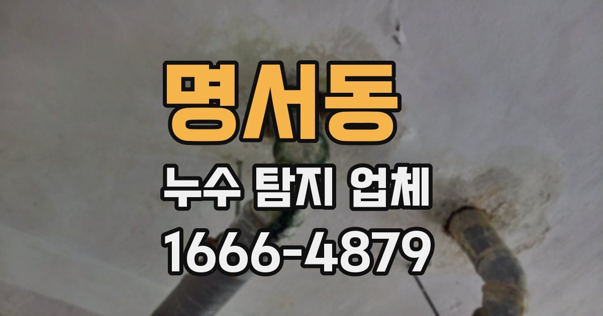 명서동 누수 탐지 업체