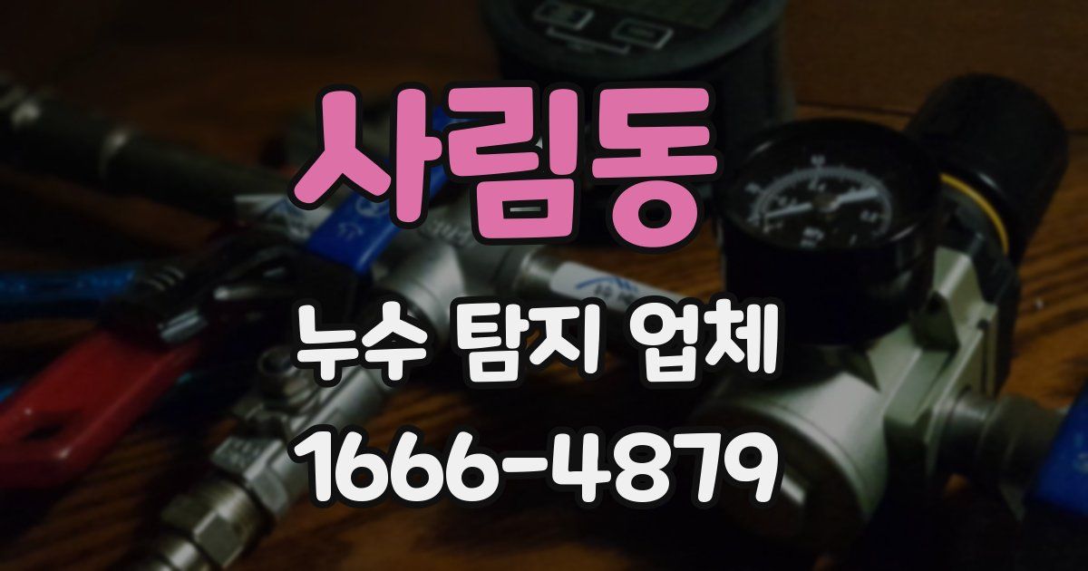 사림동 누수 탐지 업체