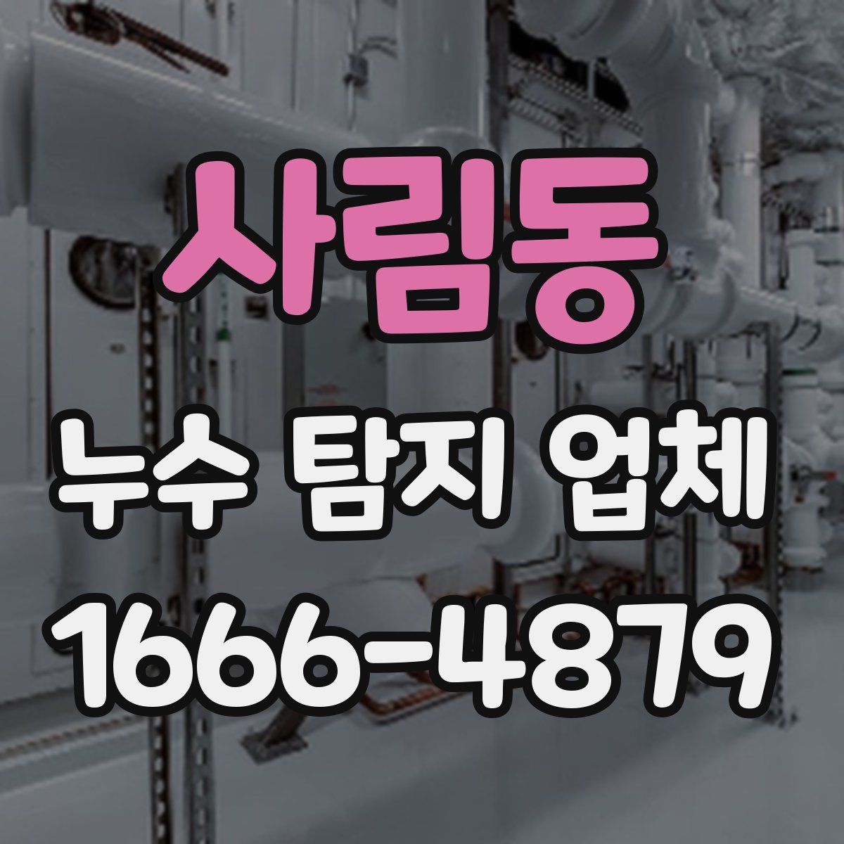 사림동 누수 탐지 업체