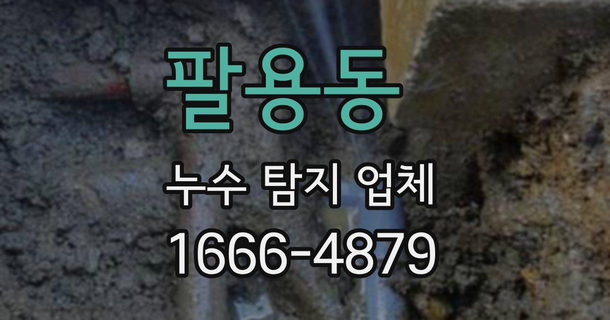 팔용동 누수 탐지 업체