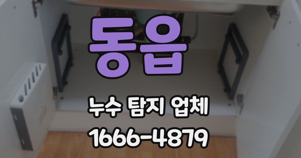 동읍 누수 탐지 업체