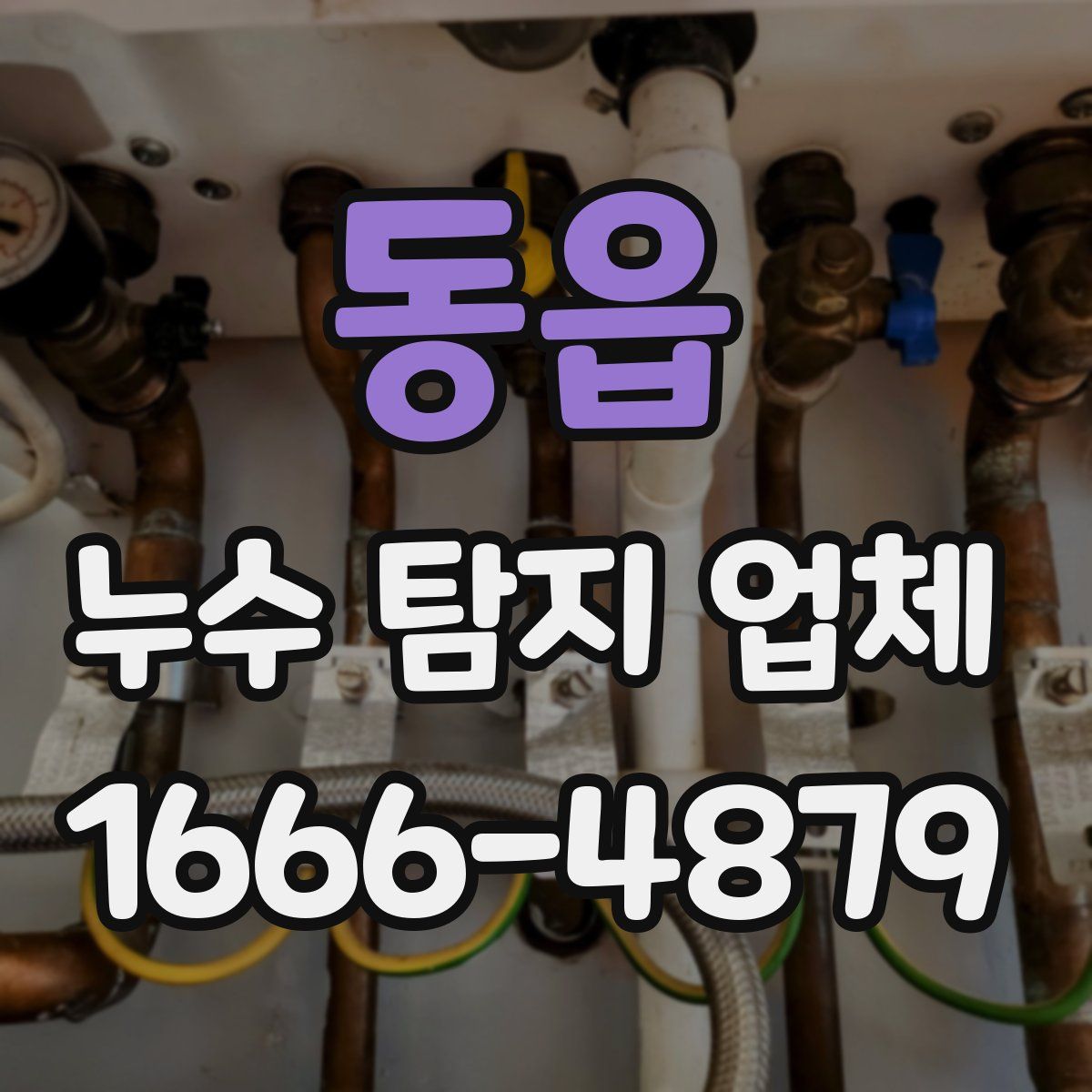 동읍 누수 탐지 업체