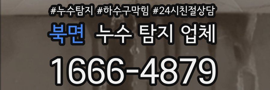 북면 누수 탐지 업체