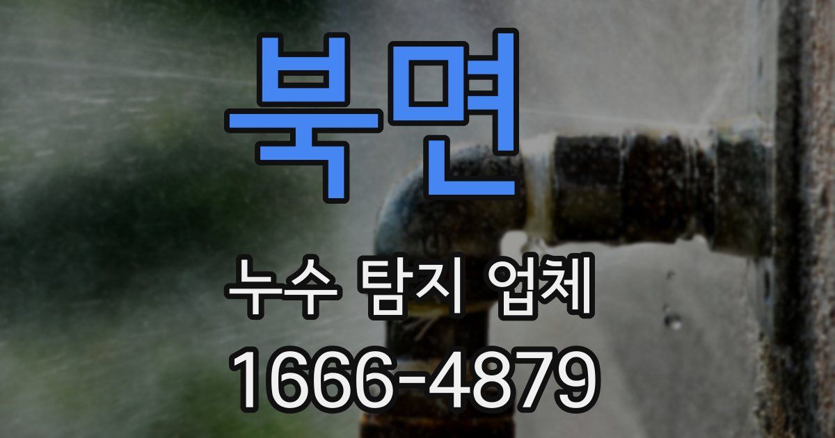 북면 누수 탐지 업체