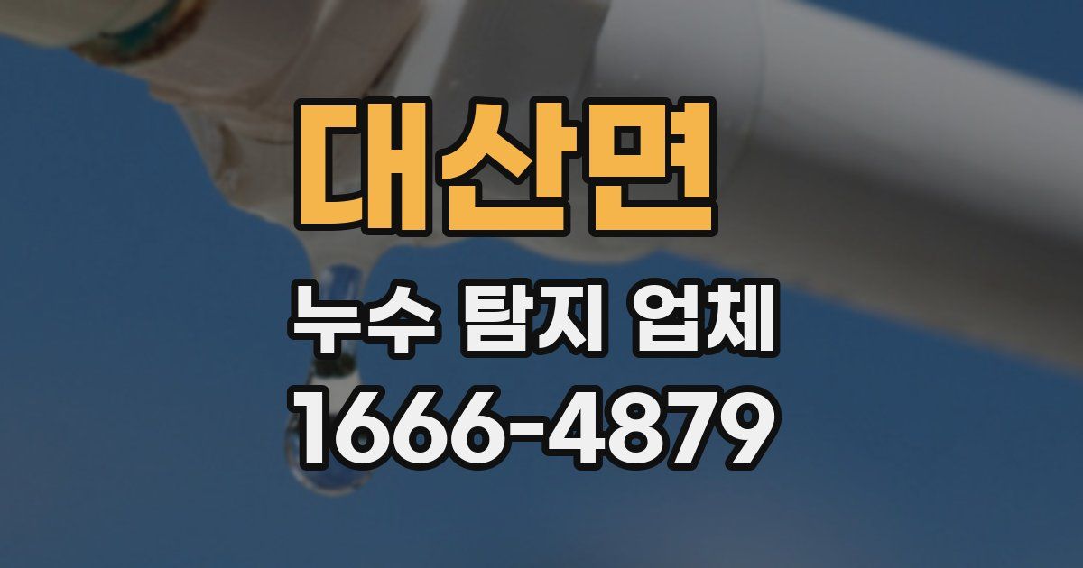 대산면 누수 탐지 업체