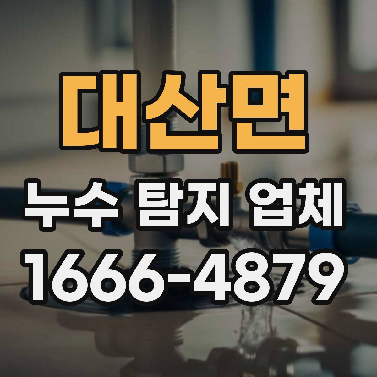 대산면 누수 탐지 업체