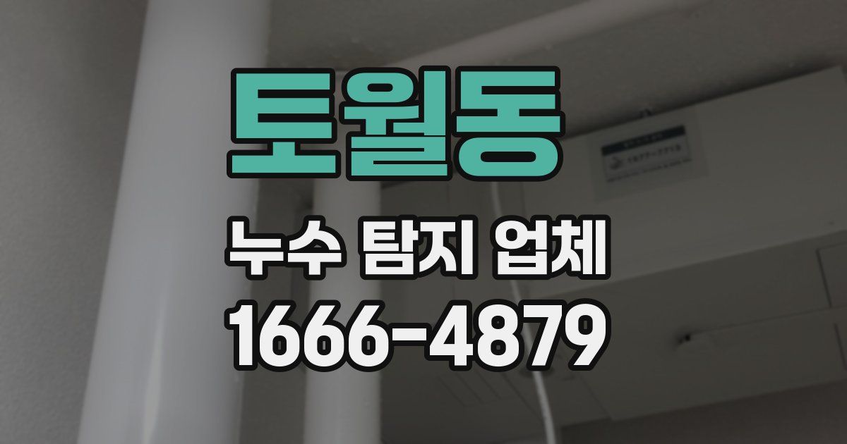 토월동 누수 탐지 업체