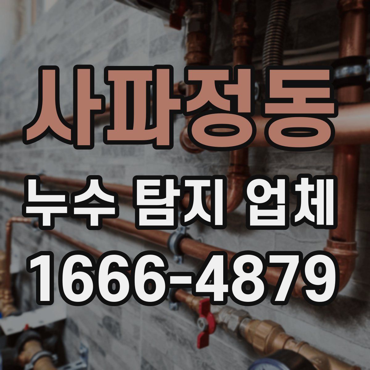 사파정동 누수 탐지 업체