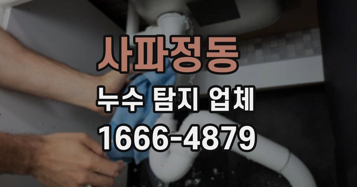 사파정동 누수 탐지 업체