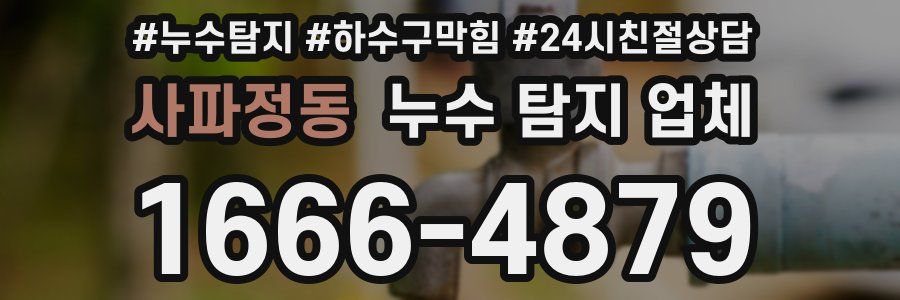 사파정동 누수 탐지 업체