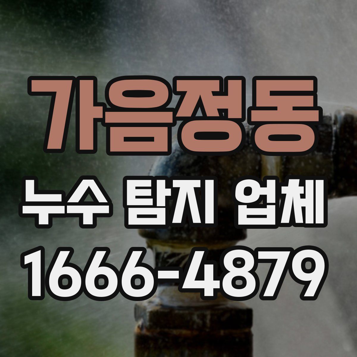 가음정동 누수 탐지 업체
