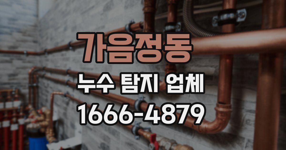 가음정동 누수 탐지 업체