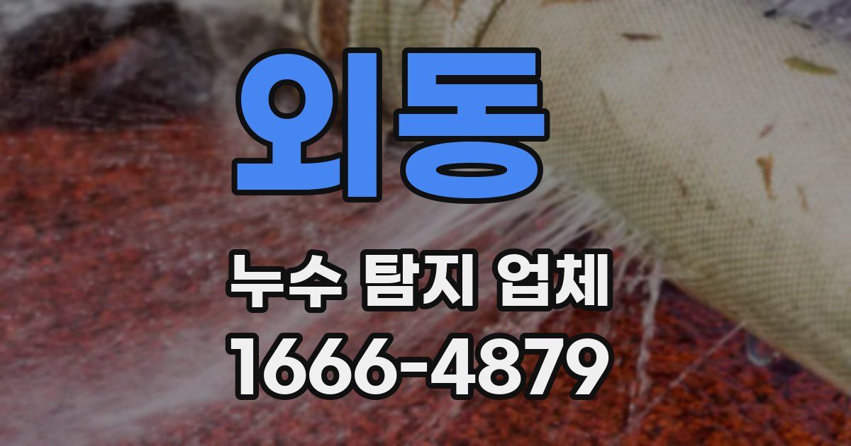 외동 누수 탐지 업체