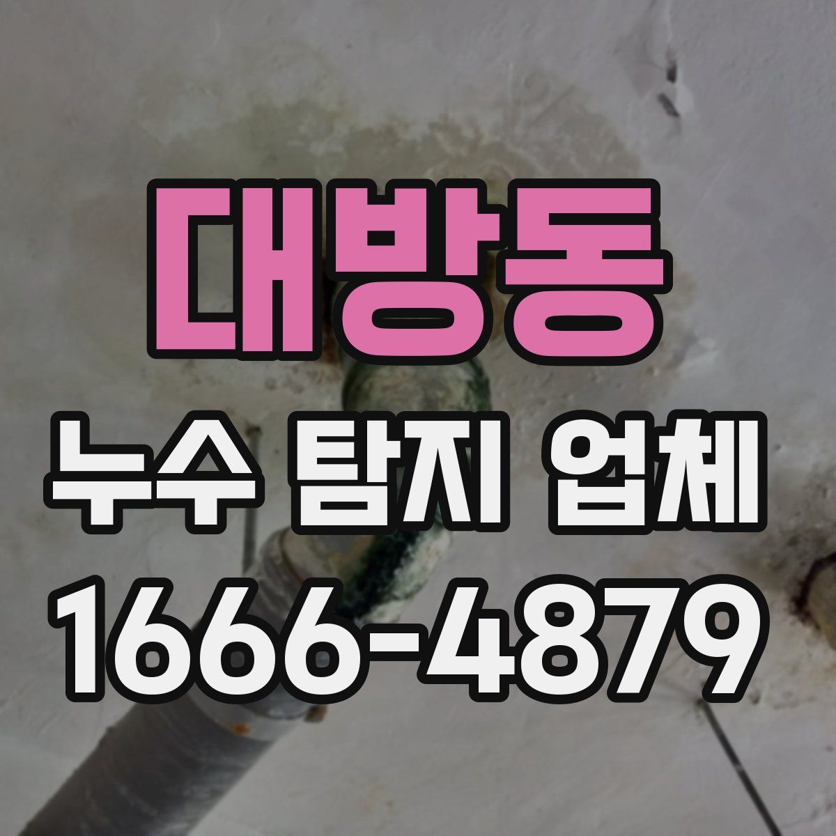 대방동 누수 탐지 업체