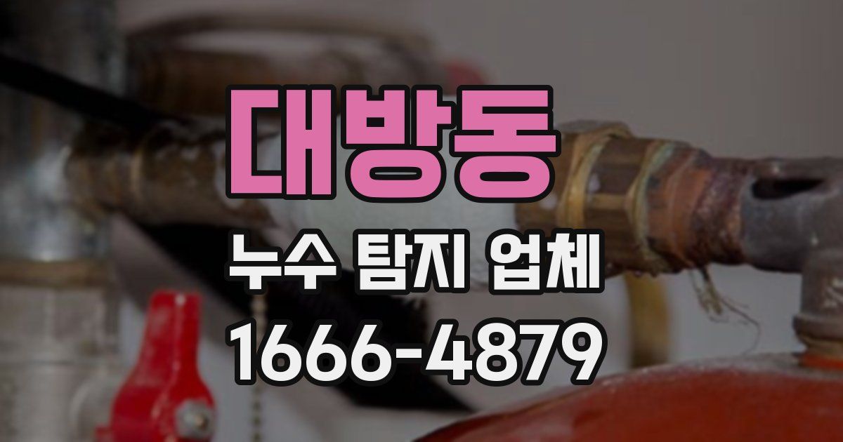 대방동 누수 탐지 업체