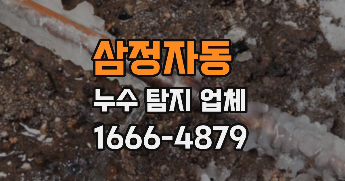 삼정자동 누수 탐지 업체