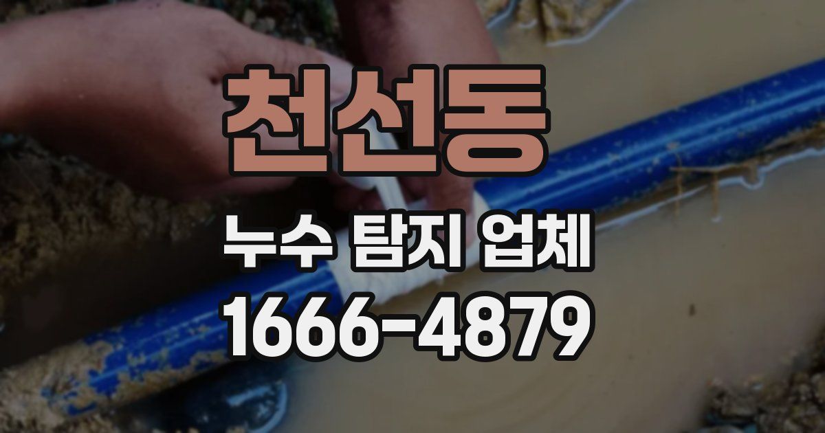 천선동 누수 탐지 업체