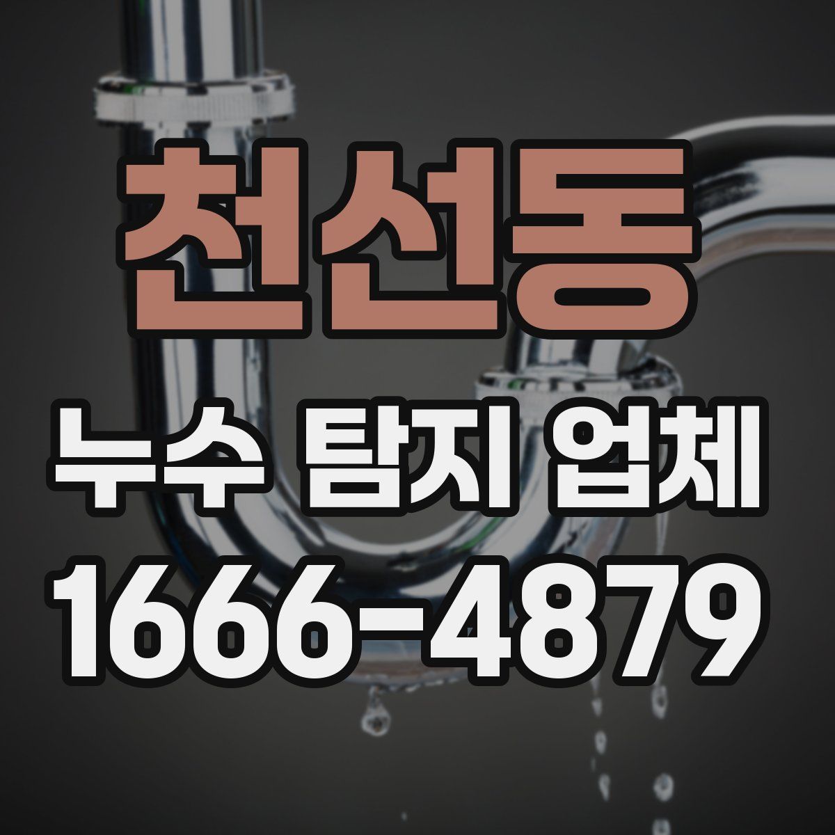 천선동 누수 탐지 업체