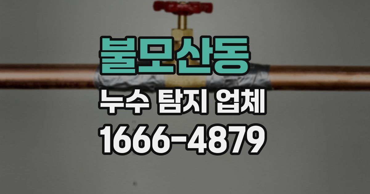 불모산동 누수 탐지 업체